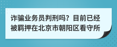 诈骗业务员判刑吗？目前已经被羁押在北京市朝阳区看守所