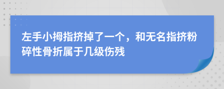 左手小拇指挤掉了一个，和无名指挤粉碎性骨折属于几级伤残