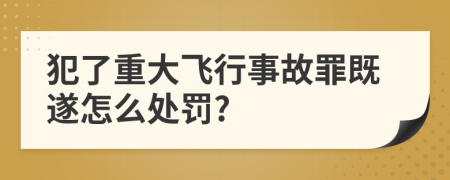 犯了重大飞行事故罪既遂怎么处罚?