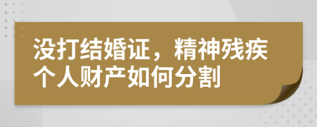 没打结婚证，精神残疾个人财产如何分割