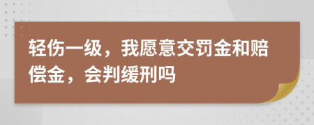 轻伤一级，我愿意交罚金和赔偿金，会判缓刑吗