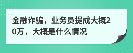 金融诈骗，业务员提成大概20万，大概是什么情况