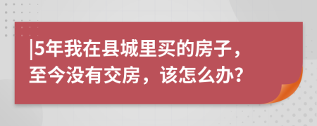 |5年我在县城里买的房子，至今没有交房，该怎么办？