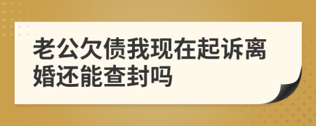 老公欠债我现在起诉离婚还能查封吗