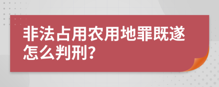 非法占用农用地罪既遂怎么判刑？