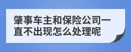 肇事车主和保险公司一直不出现怎么处理呢