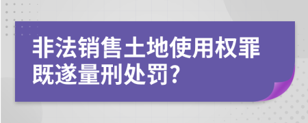 非法销售土地使用权罪既遂量刑处罚?