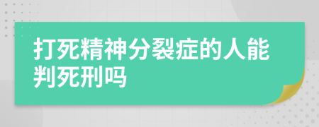 打死精神分裂症的人能判死刑吗