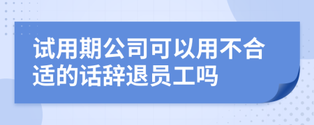 试用期公司可以用不合适的话辞退员工吗