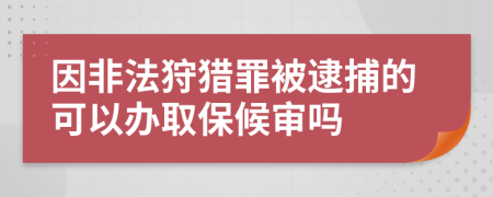 因非法狩猎罪被逮捕的可以办取保候审吗