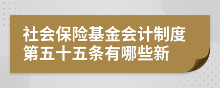 社会保险基金会计制度第五十五条有哪些新