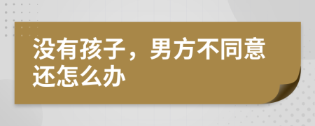 没有孩子，男方不同意还怎么办