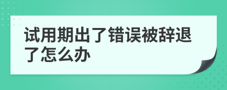 试用期出了错误被辞退了怎么办