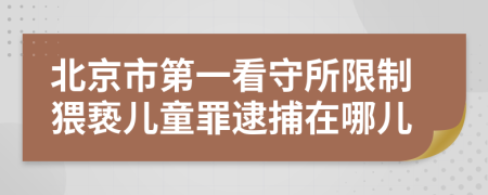 北京市第一看守所限制猥亵儿童罪逮捕在哪儿