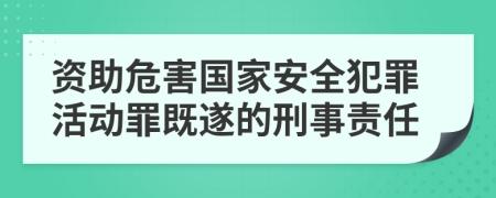 资助危害国家安全犯罪活动罪既遂的刑事责任