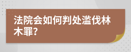 法院会如何判处滥伐林木罪？