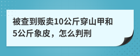 被查到贩卖10公斤穿山甲和5公斤象皮，怎么判刑