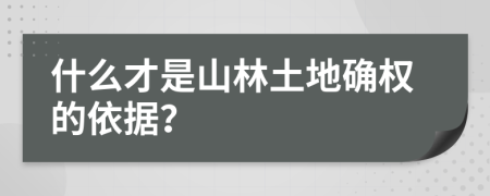 什么才是山林土地确权的依据？