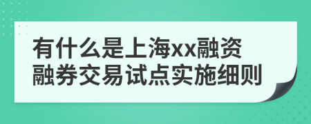有什么是上海xx融资融券交易试点实施细则