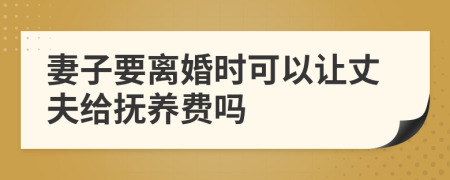 妻子要离婚时可以让丈夫给抚养费吗