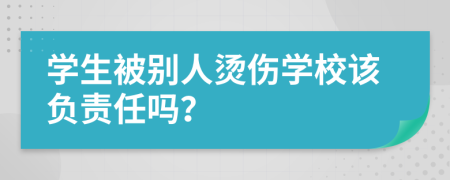 学生被别人烫伤学校该负责任吗？