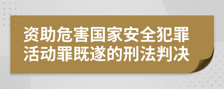 资助危害国家安全犯罪活动罪既遂的刑法判决