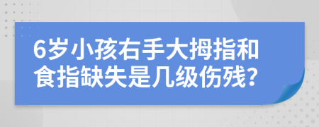 6岁小孩右手大拇指和食指缺失是几级伤残？