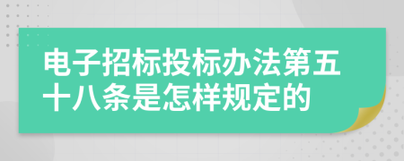 电子招标投标办法第五十八条是怎样规定的
