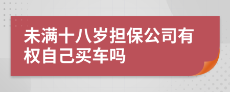 未满十八岁担保公司有权自己买车吗