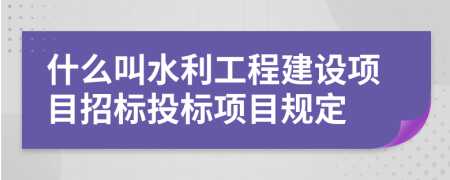 什么叫水利工程建设项目招标投标项目规定