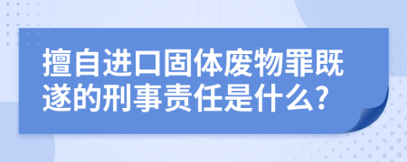 擅自进口固体废物罪既遂的刑事责任是什么?