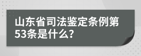 山东省司法鉴定条例第53条是什么？