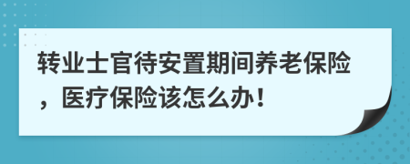 转业士官待安置期间养老保险，医疗保险该怎么办！