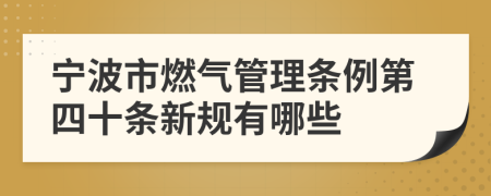 宁波市燃气管理条例第四十条新规有哪些