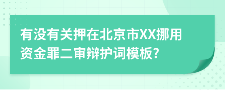 有没有关押在北京市XX挪用资金罪二审辩护词模板?