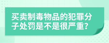 买卖制毒物品的犯罪分子处罚是不是很严重？