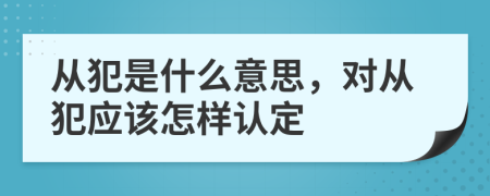 从犯是什么意思，对从犯应该怎样认定