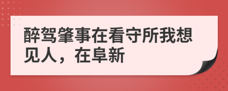 醉驾肇事在看守所我想见人，在阜新