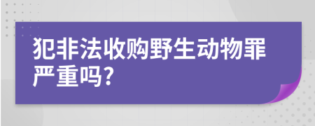 犯非法收购野生动物罪严重吗?