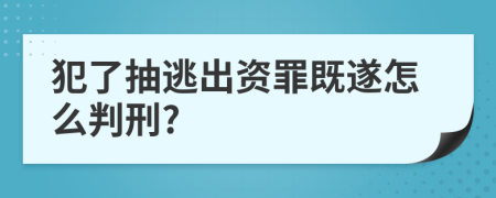 犯了抽逃出资罪既遂怎么判刑?