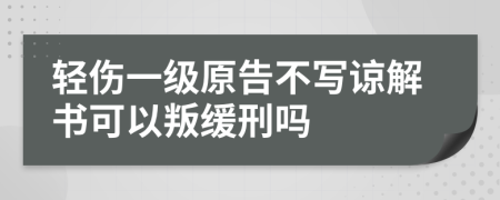 轻伤一级原告不写谅解书可以叛缓刑吗