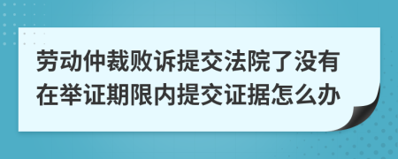 劳动仲裁败诉提交法院了没有在举证期限内提交证据怎么办