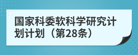 国家科委软科学研究计划计划（第28条）