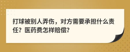 打球被别人弄伤，对方需要承担什么责任？医药费怎样赔偿？
