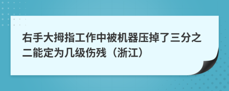 右手大拇指工作中被机器压掉了三分之二能定为几级伤残（浙江）