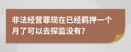 非法经营罪现在已经羁押一个月了可以去探监没有？