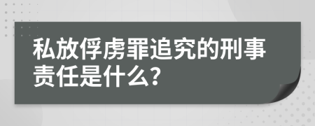 私放俘虏罪追究的刑事责任是什么？