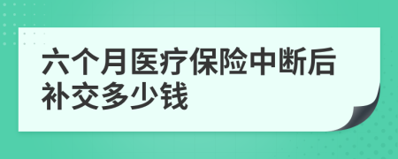 六个月医疗保险中断后补交多少钱