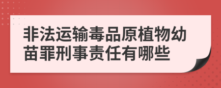 非法运输毒品原植物幼苗罪刑事责任有哪些