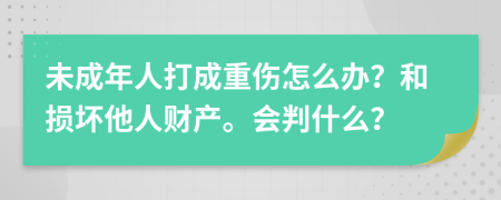 未成年人打成重伤怎么办？和损坏他人财产。会判什么？